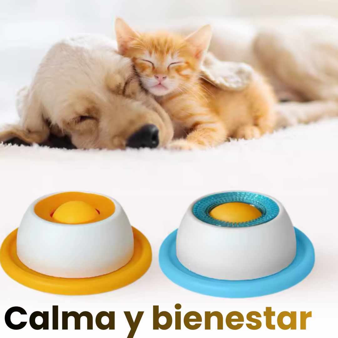 Bowl interactivo para mascotas