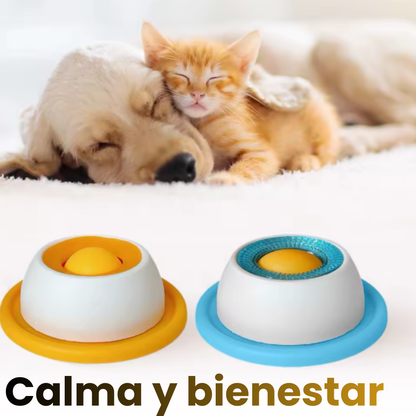 Bowl interactivo para mascotas