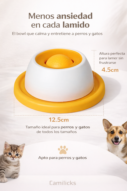 Bowl interactivo para mascotas