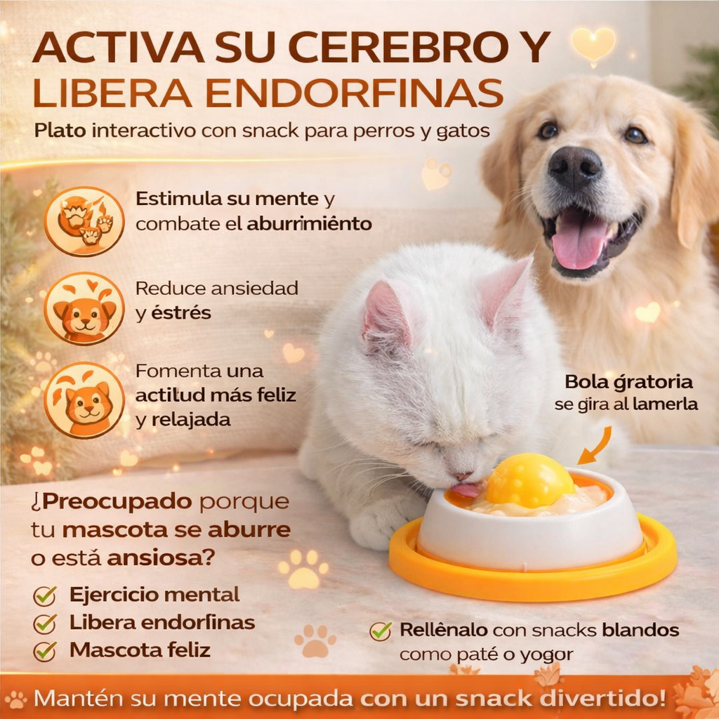 Bowl interactivo para mascotas