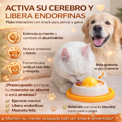 Bowl interactivo para mascotas